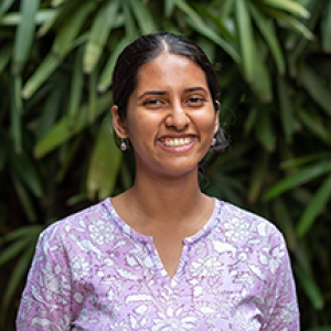 Kavya Palavalasa